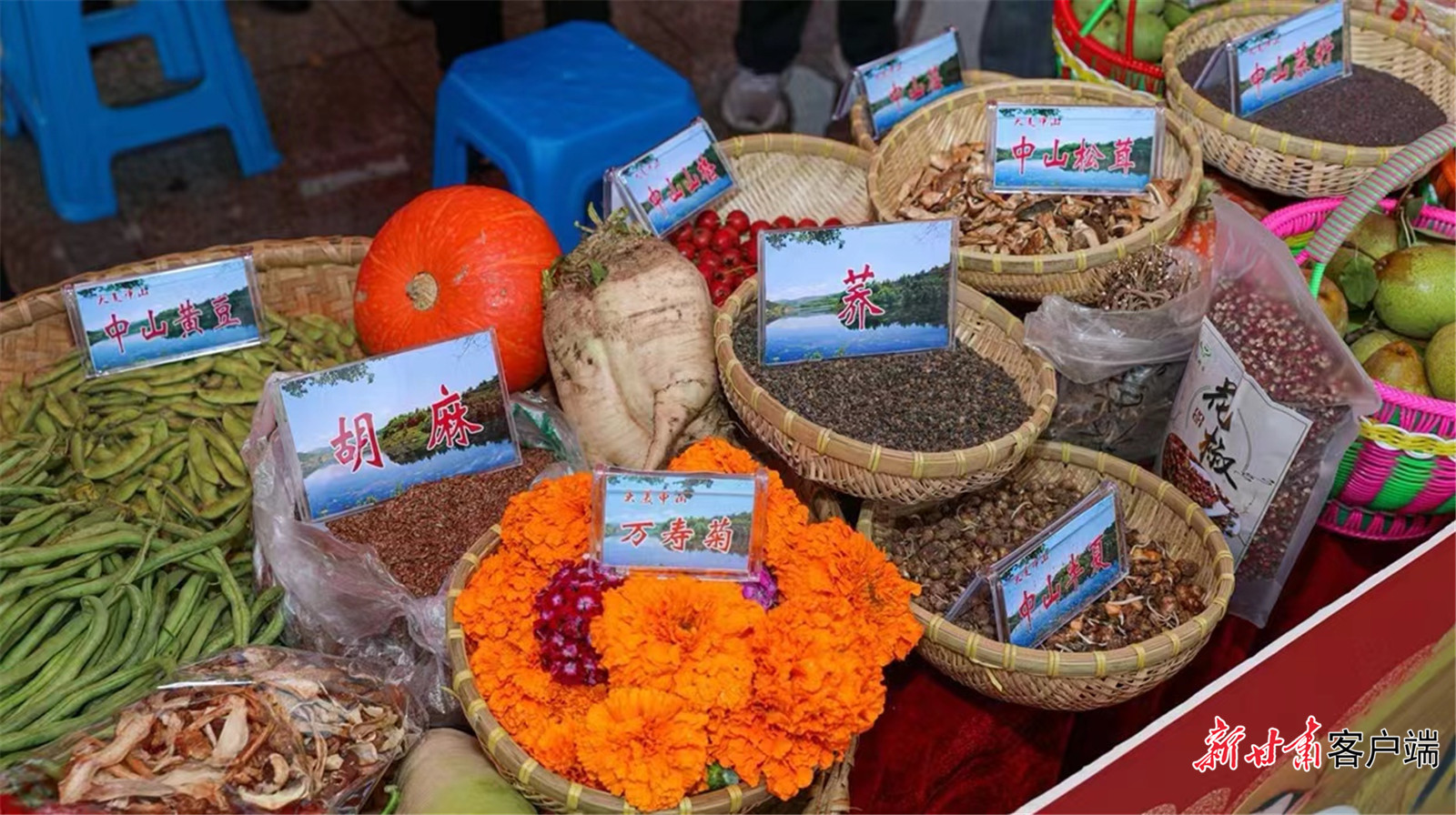 FZ007225905879_A4076312