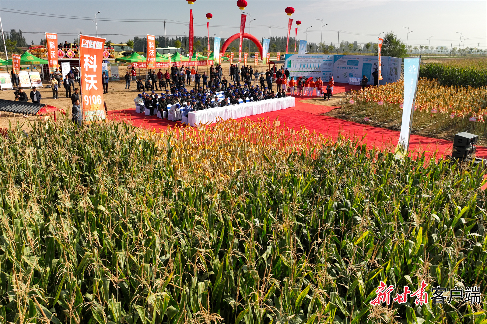 DJI_0021