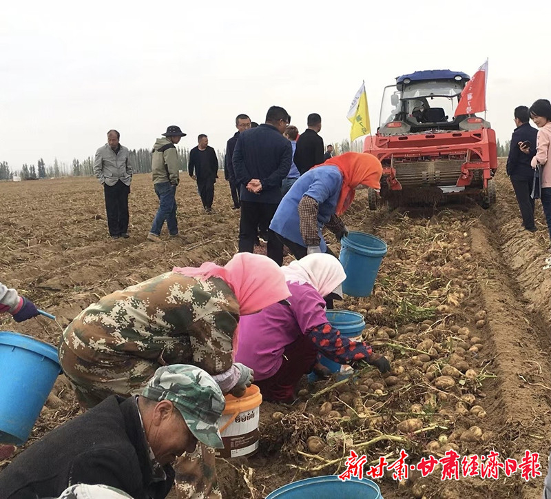 yes(二版头题)科技赋能-戈壁滩变身“(26256855)-20231011100809