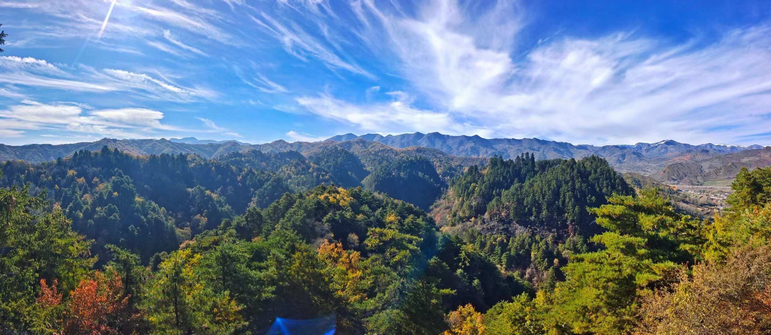 微信图片_20231207160705_副本.jpg