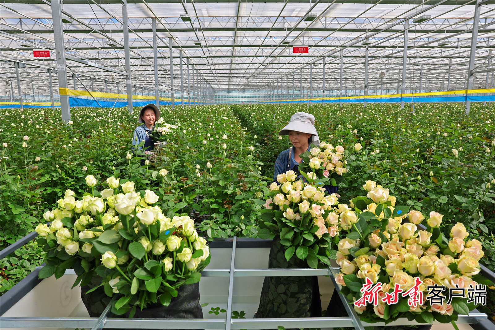 7d9288a681aa8e8c6cca157f1550b262_d7dcfe39870843cd9bf530cff4685556_h=1066&w=1600.jpg