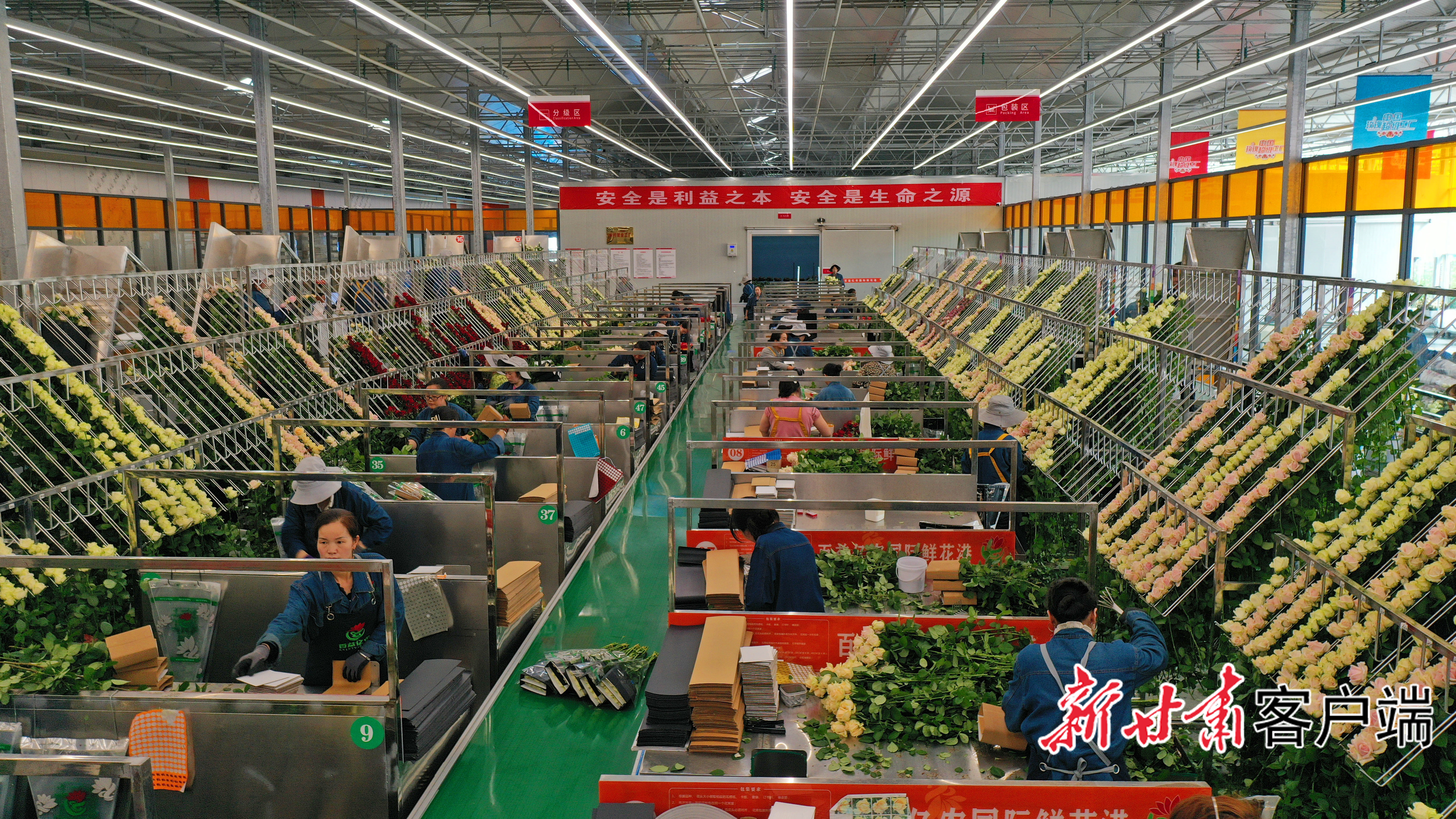 临夏市:美丽经济开出“幸福花”(29746955)-20240226065731