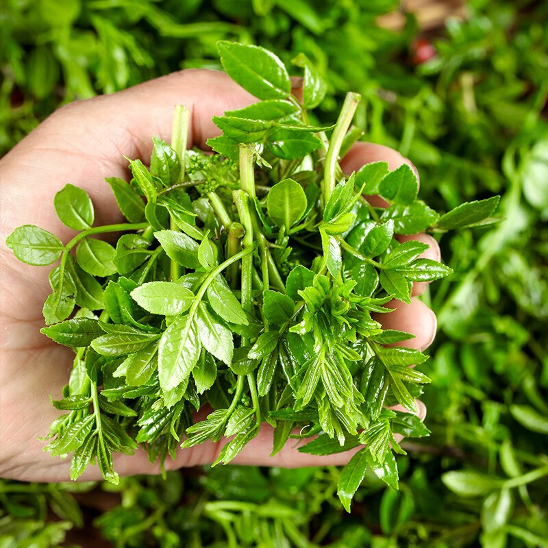 1710746896052064200.jpg 10b159044fc96c3024e1d8f32ab6cd6.jpg