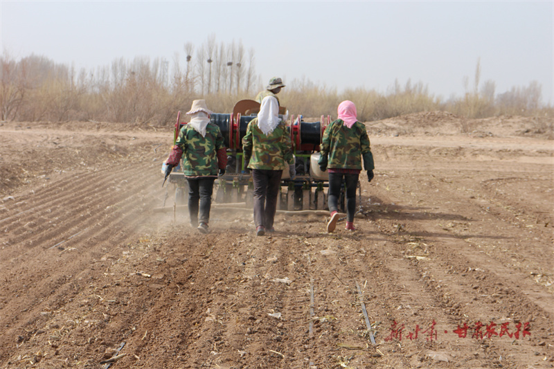 IMG_0460 IMG_0460.jpg