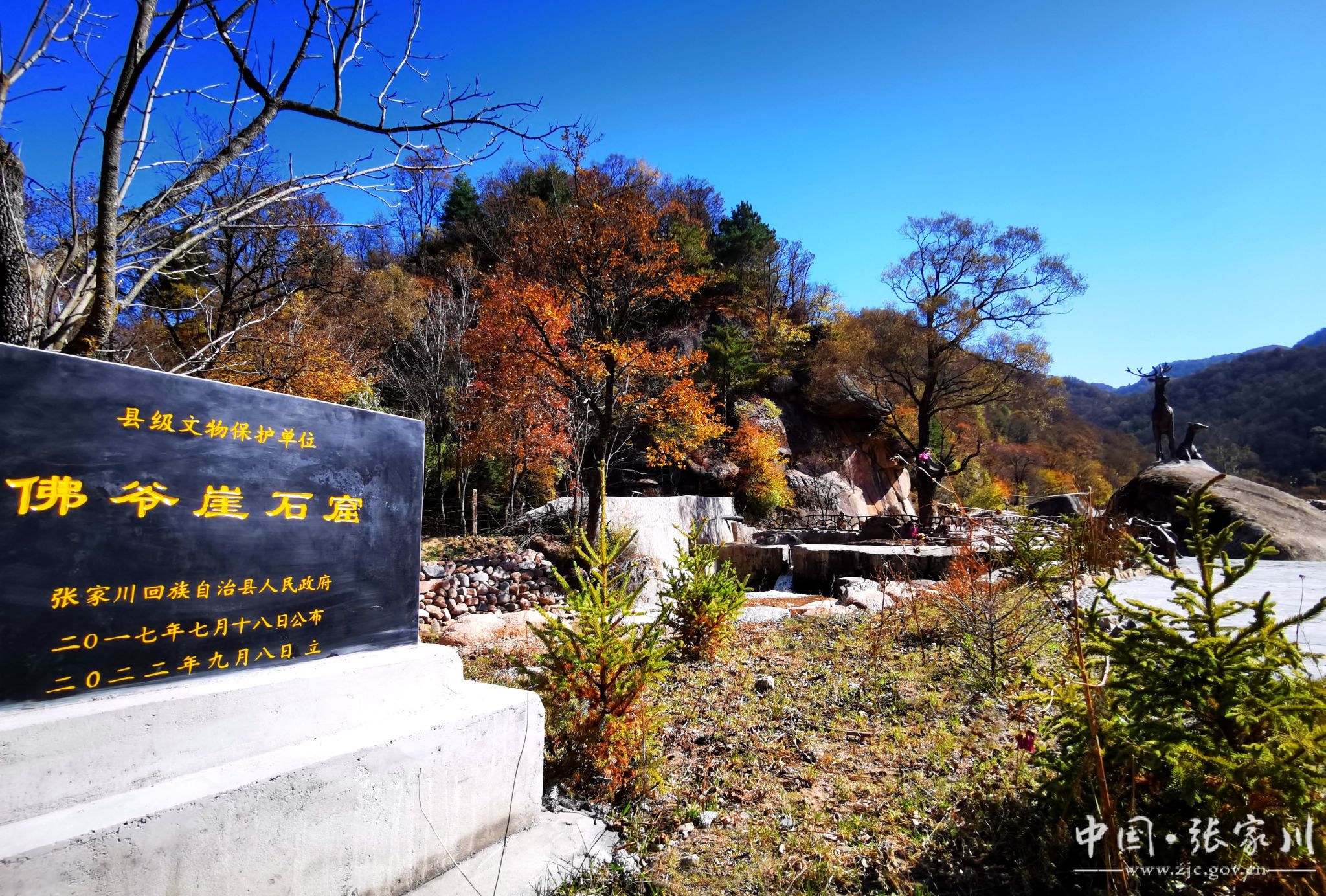 天水张家川盗墓团伙图片