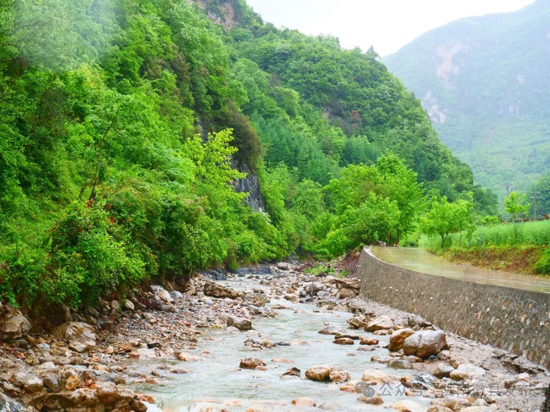 徽县稻坪旅游图片