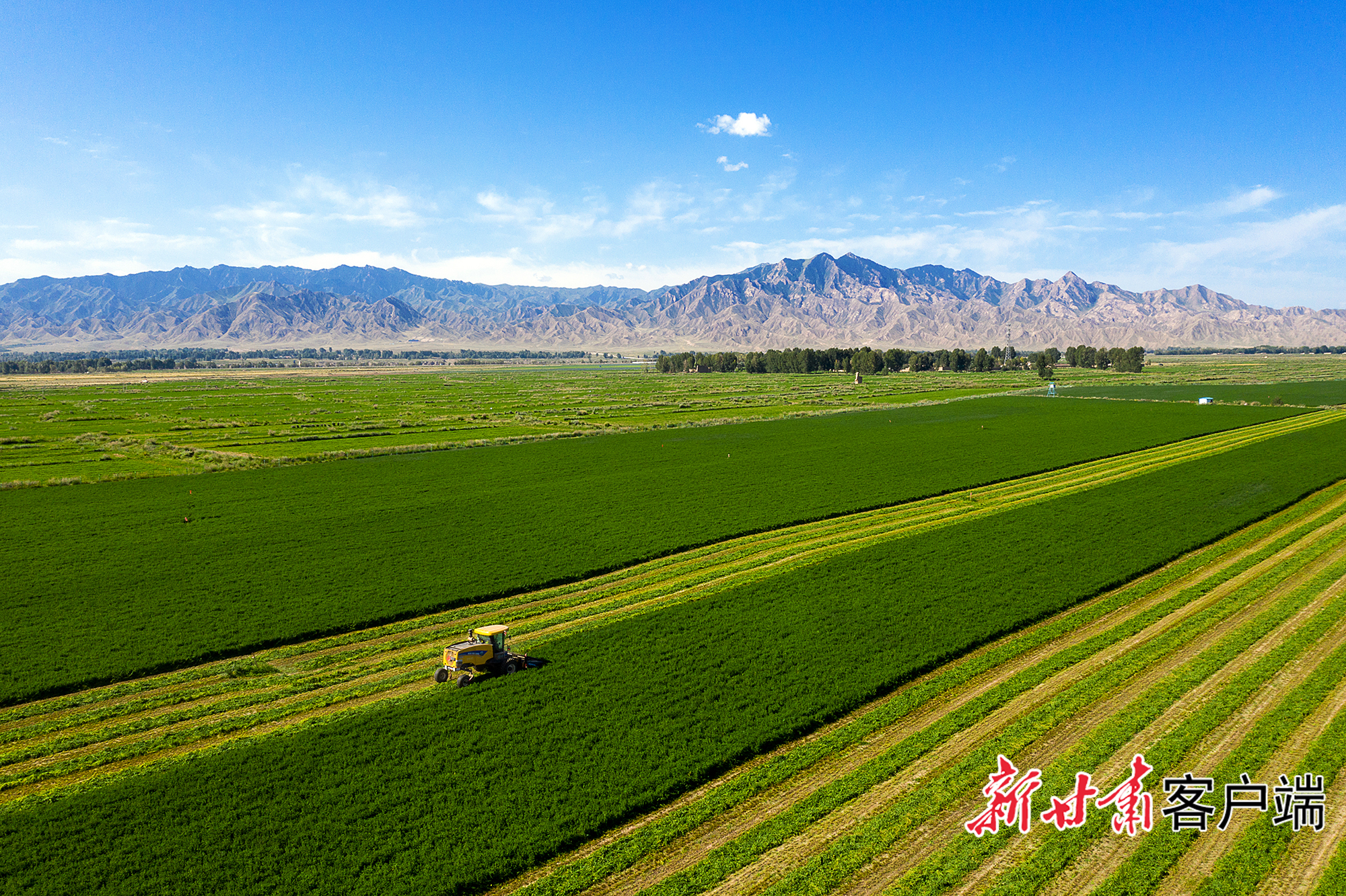 "花园式"智慧牧场——甘肃农垦天牧乳业科技引领发展现代牧业