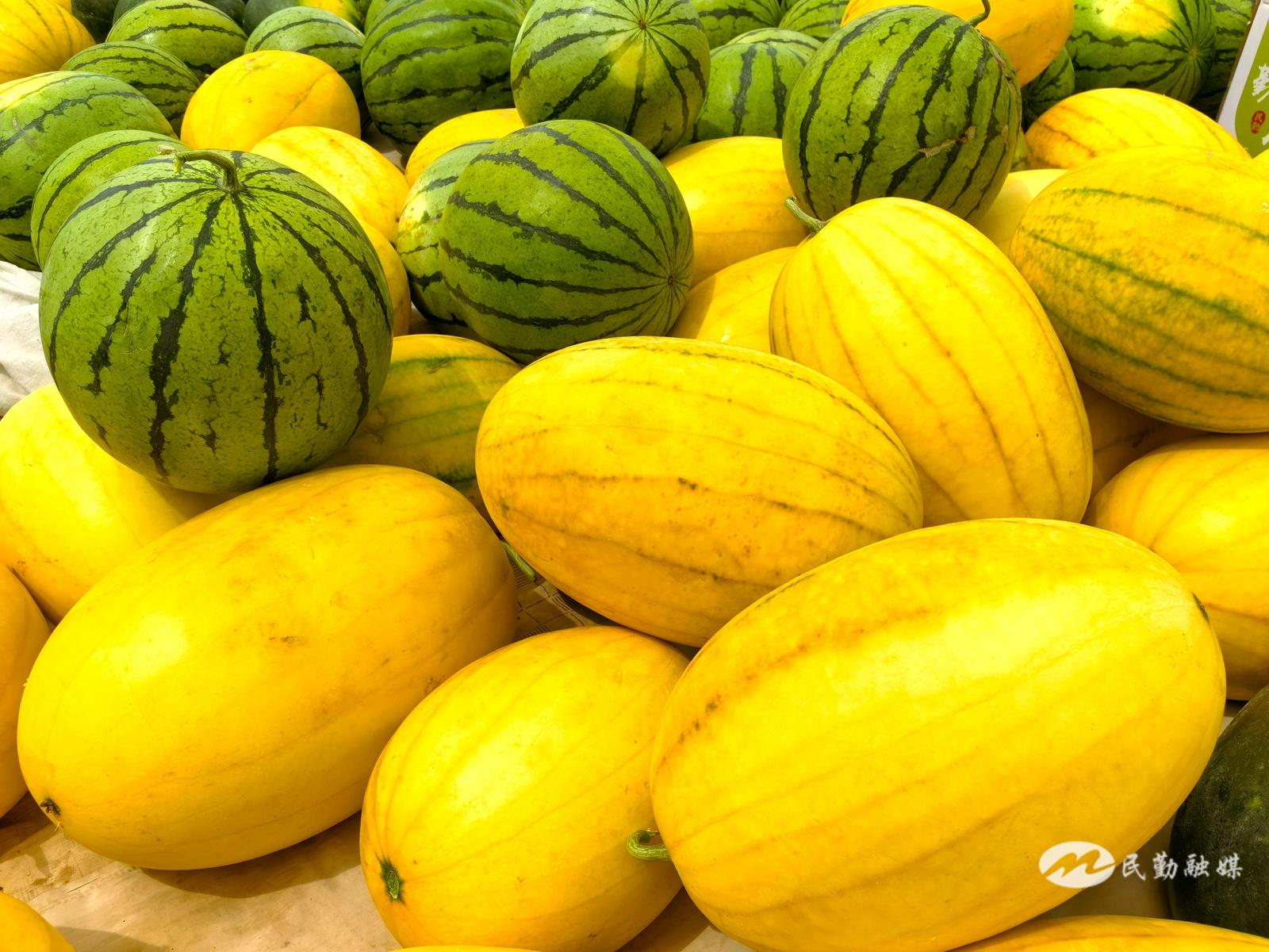 市县融媒声音】花皮黄瓤的西瓜，你心动了吗