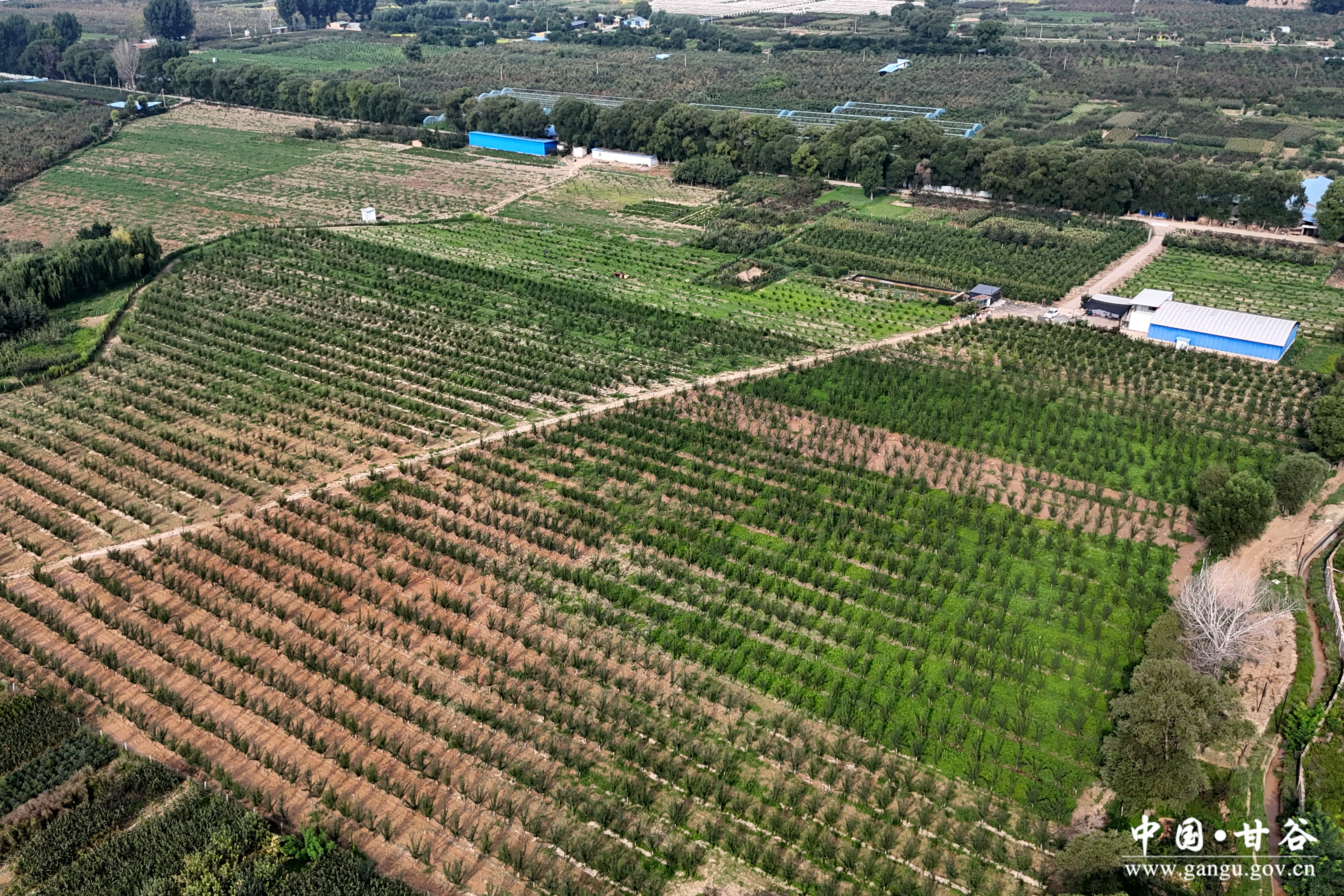 1723686447810012724.jpg DJI_20240814090317_0843_D.jpg
