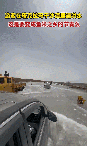 11111.gif 11111.gif