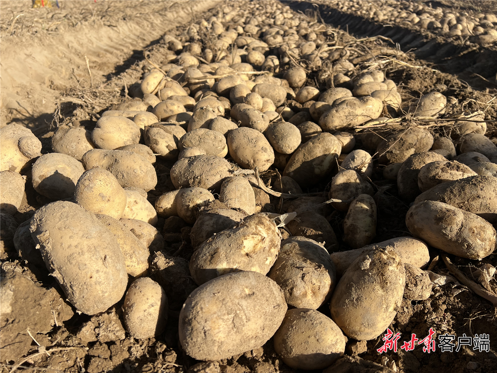 FZ007235861639_A4772807