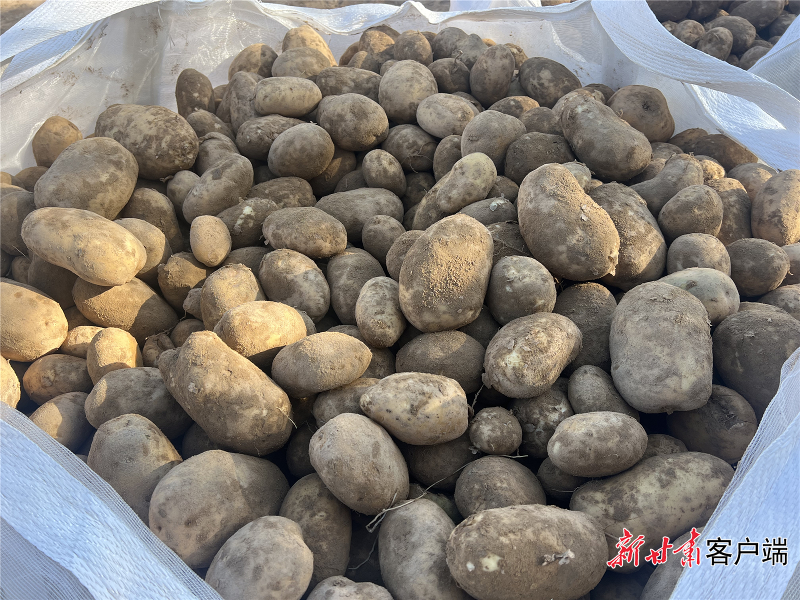 FZ007235861639_A4772811