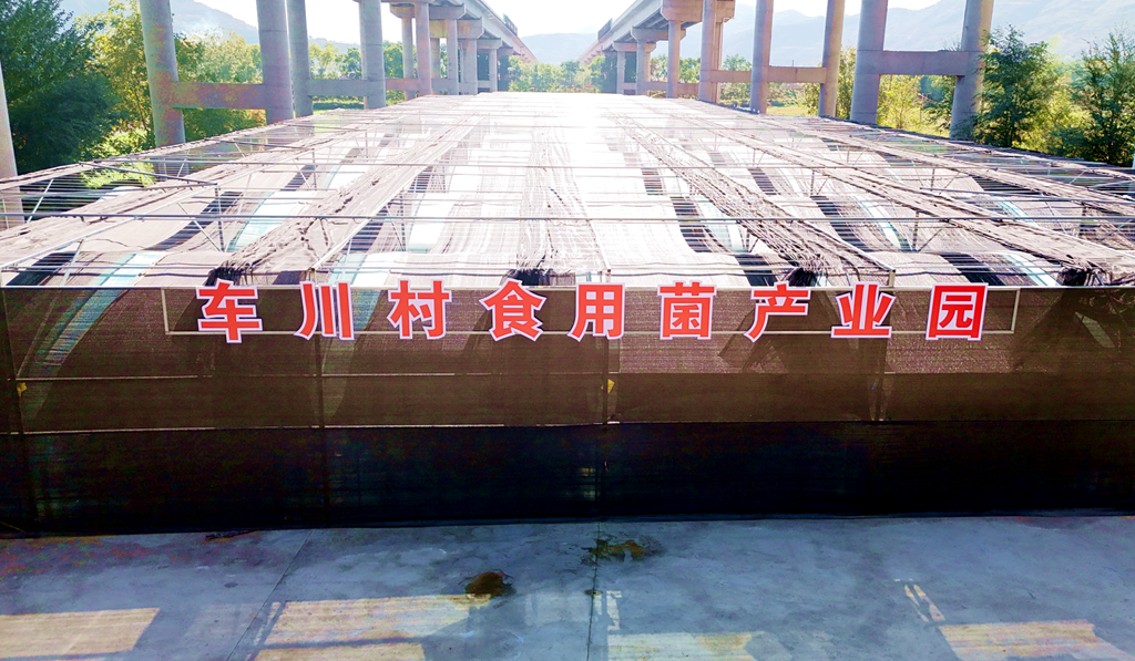 微信图片_20241023152402_副本