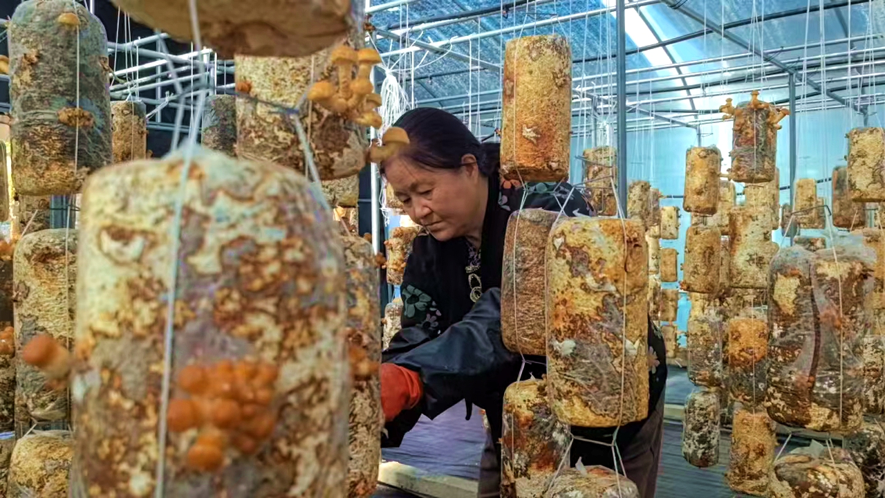 微信图片_20241023152414_副本