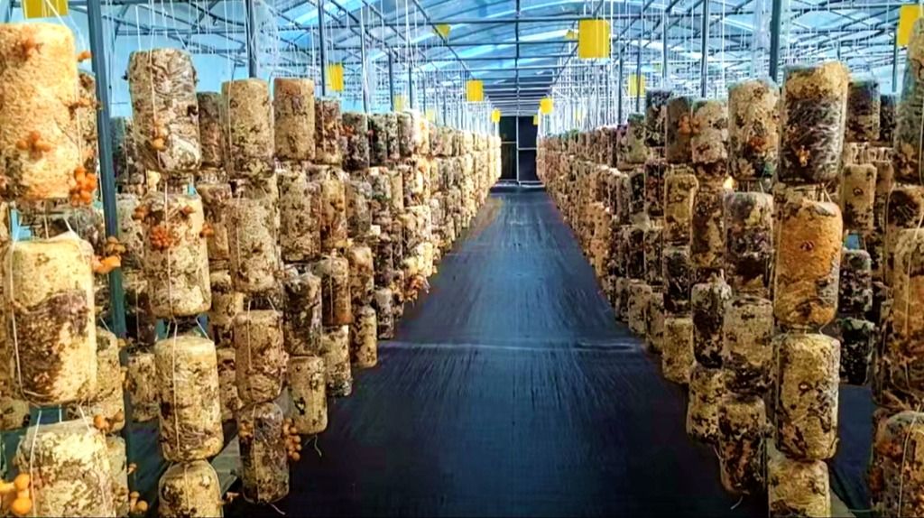 微信图片_20241023105719_副本 微信图片_20241023105719_副本