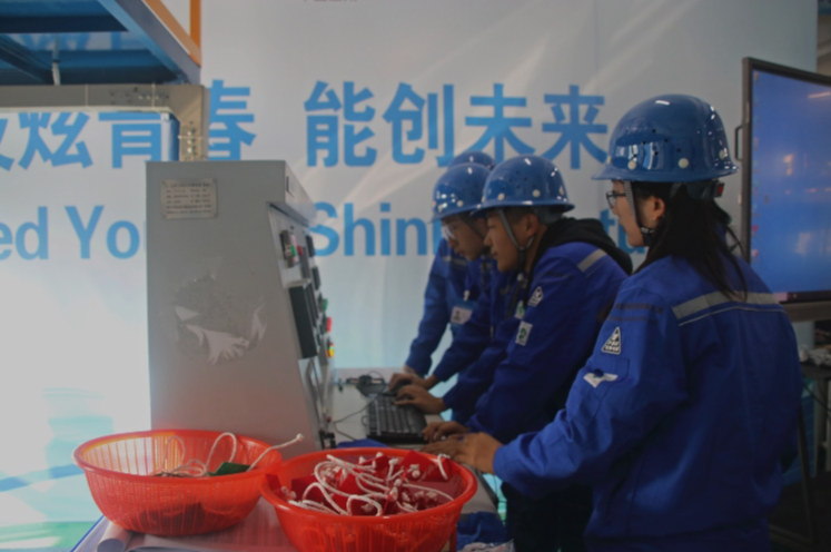微信截图_20241029103707
