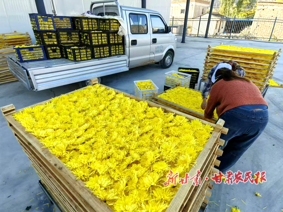 微信图片_20241113082647