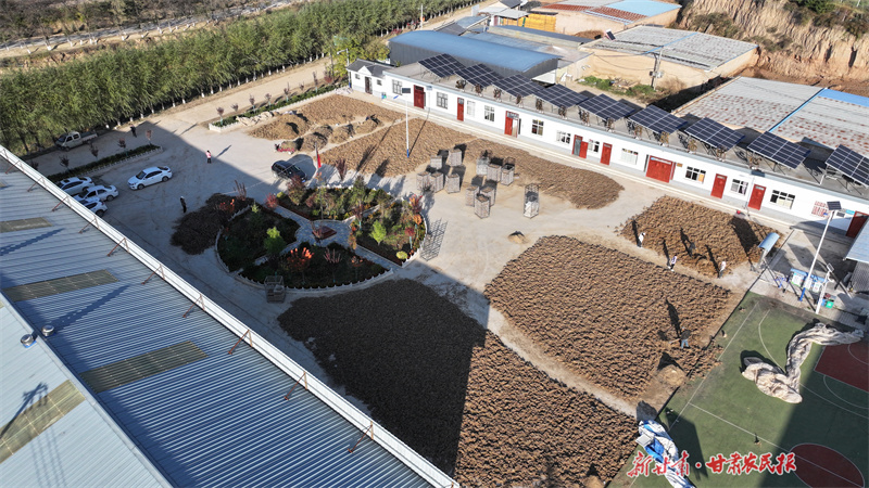 杨河乡张沟村中药材初加工基地