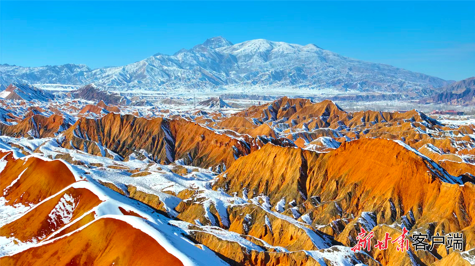 FZ007236932178_A4845629