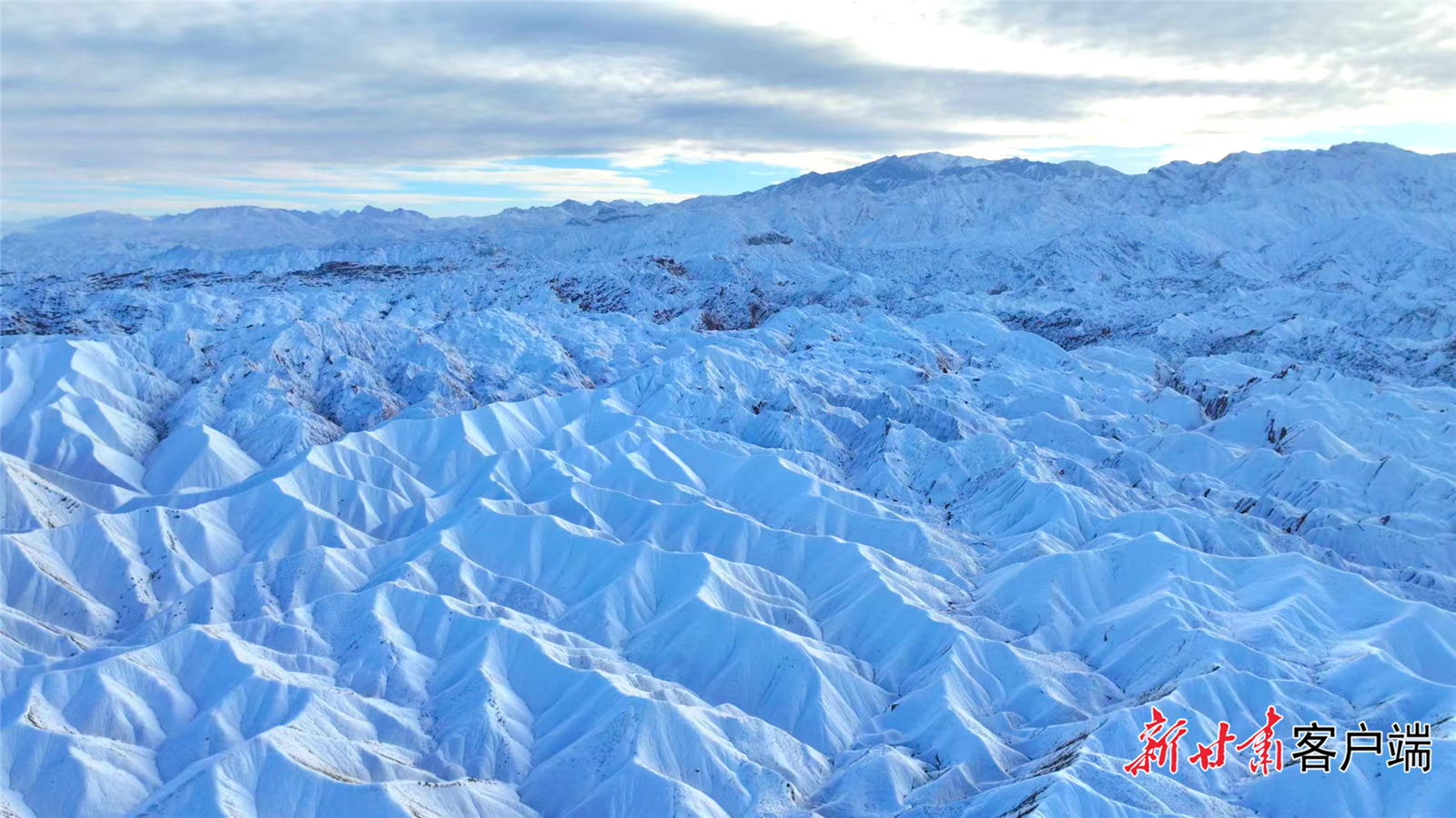 FZ007236932178_A4845638