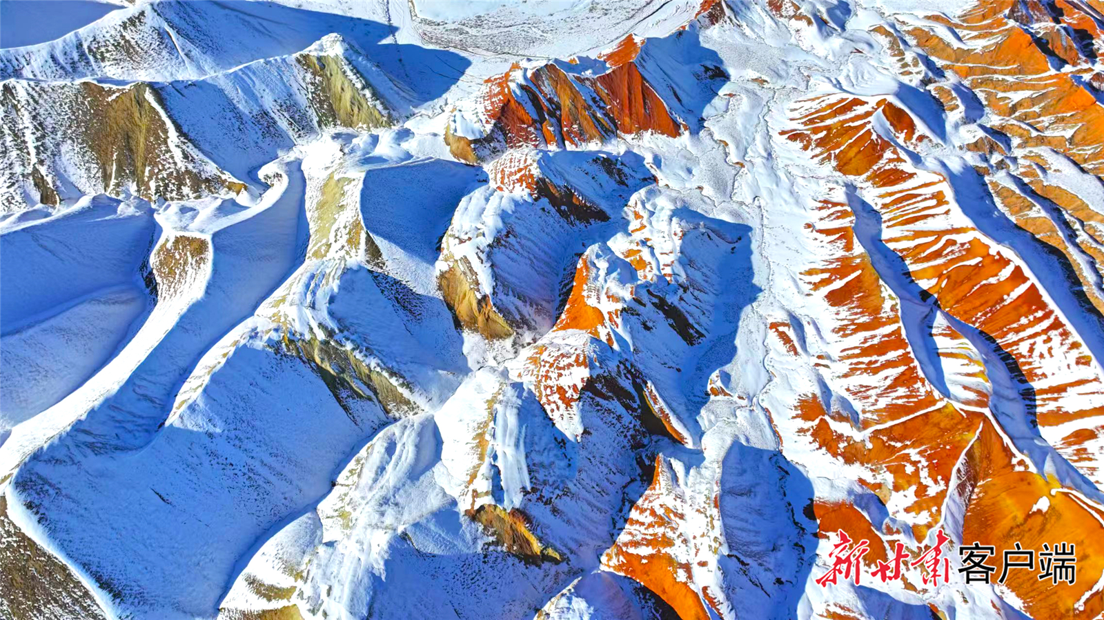 FZ007236932178_A4845628