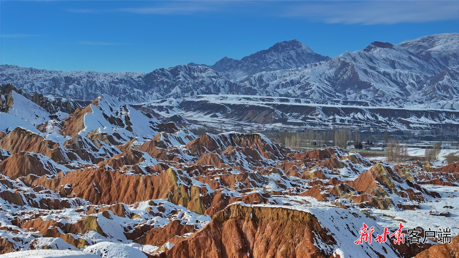 FZ007236932178_A4845632