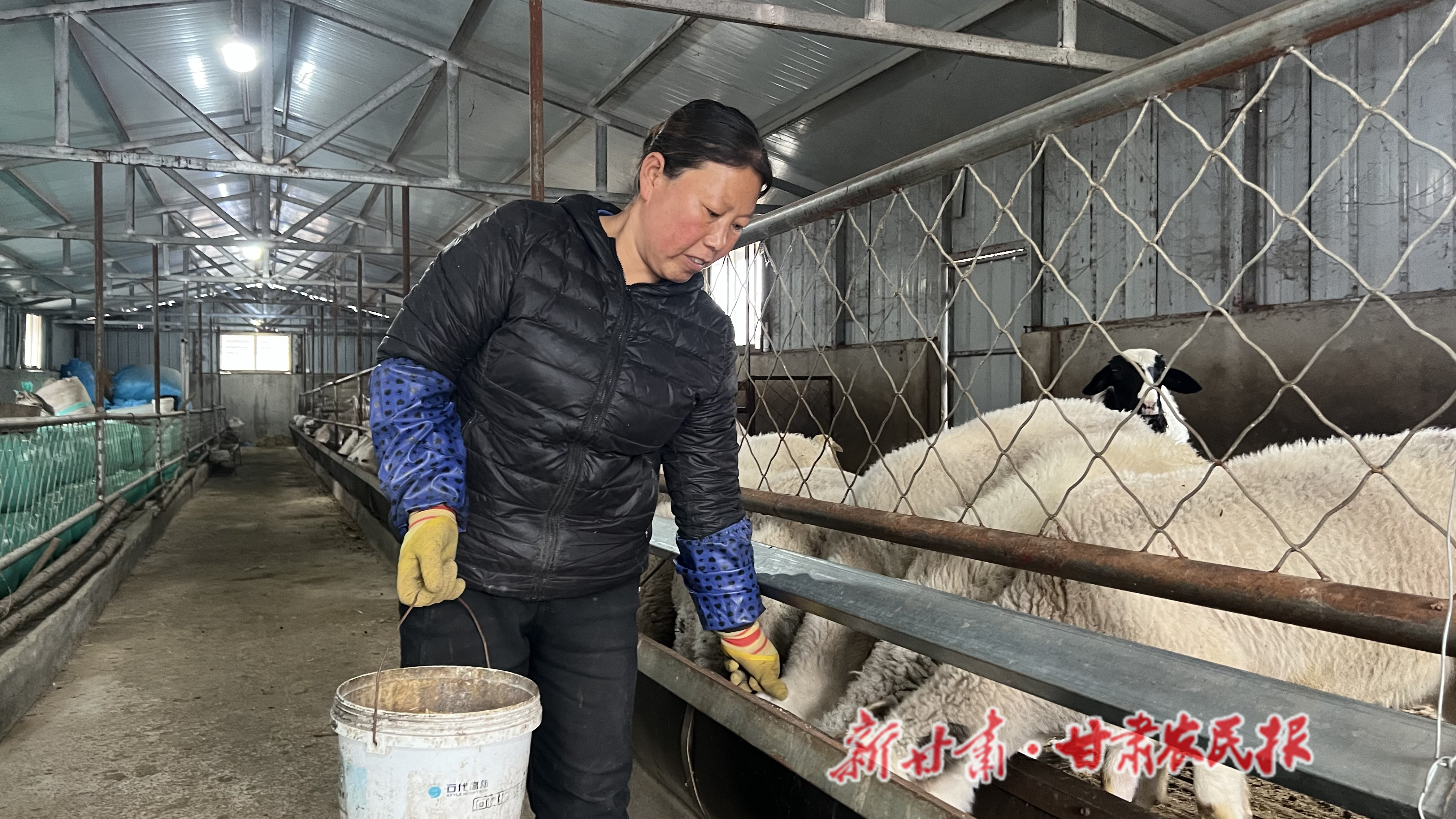 微信图片_20241203145443