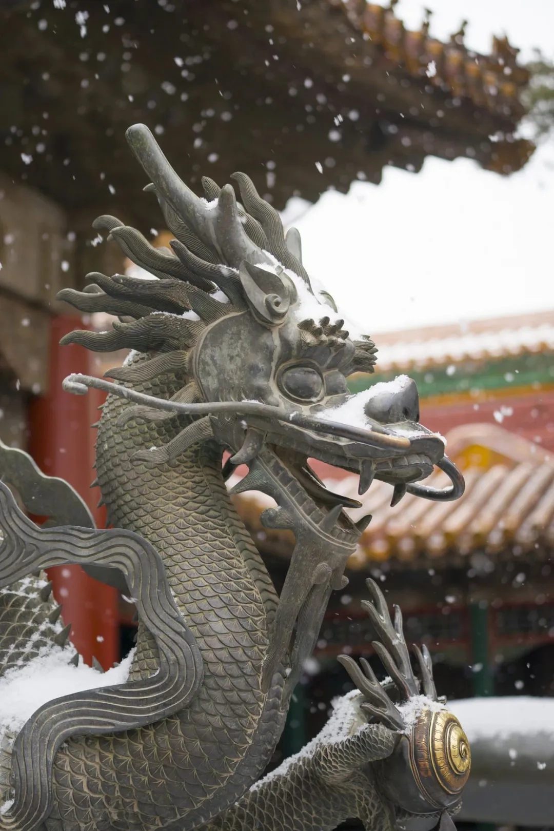 明清,戏珠铜龙,故宫博物院.webp