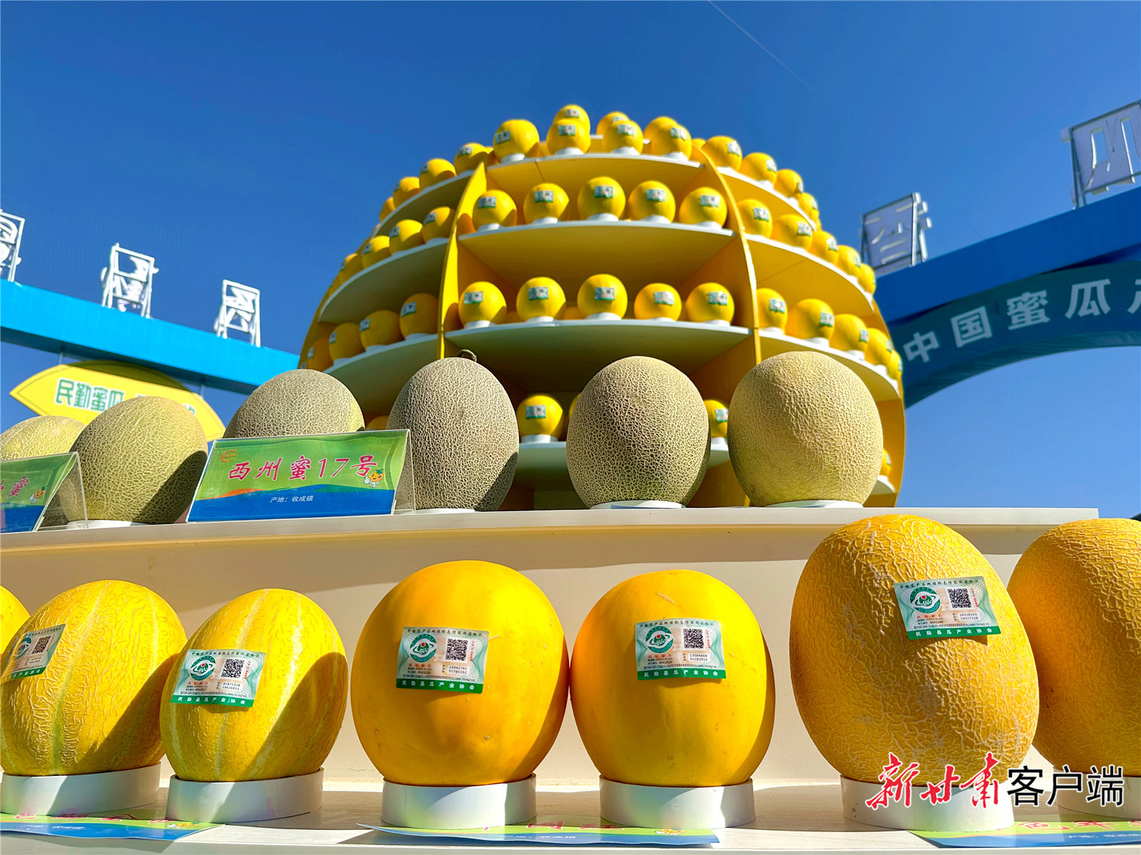 微信图片_20250403093809.jpg