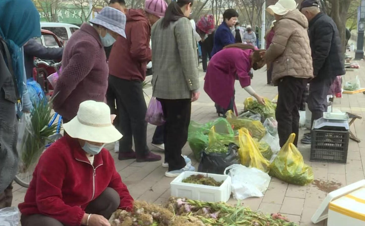 微信图片_20250410095838