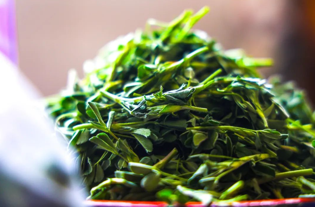 1744270666216001150.png image.png