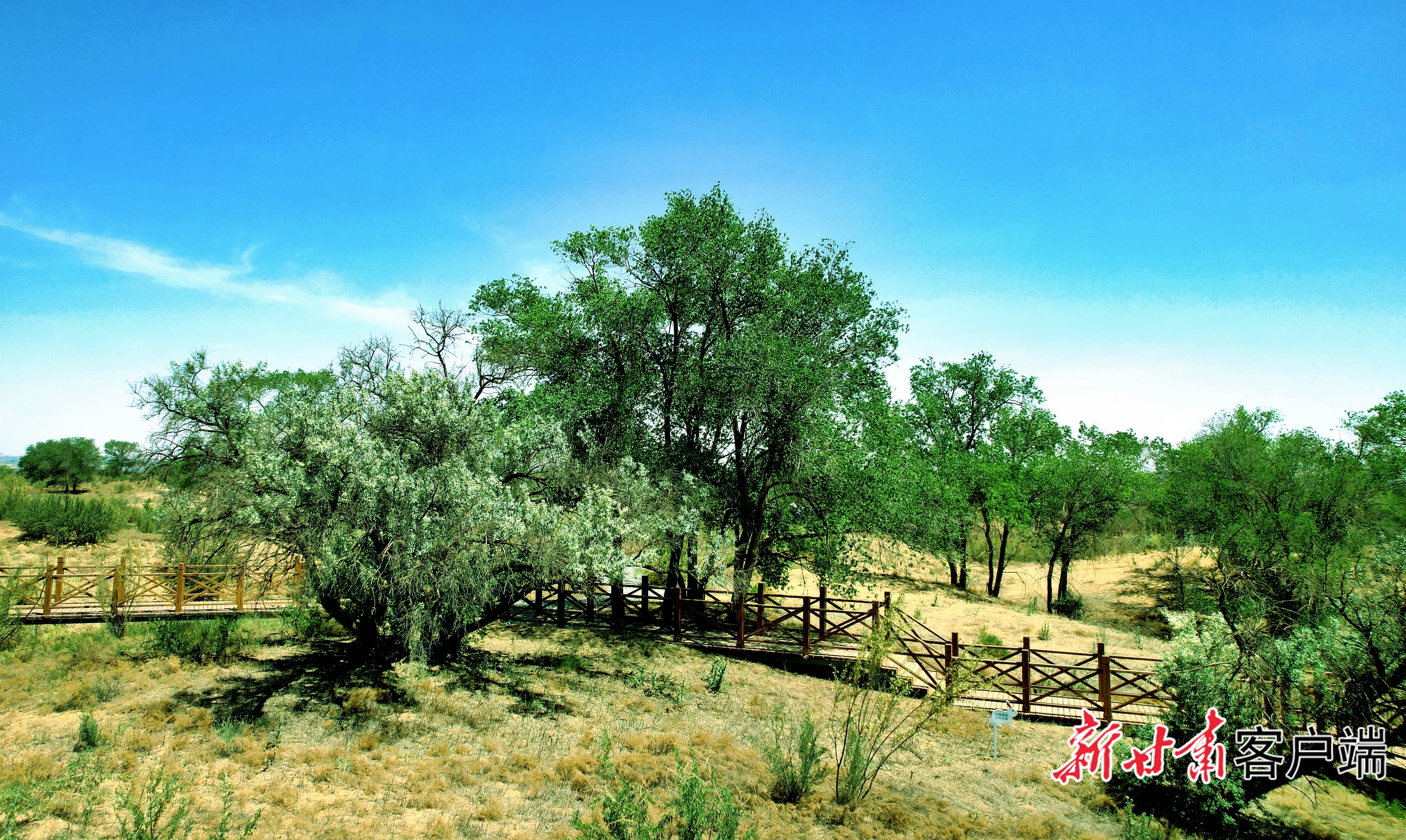 image_4 (1)