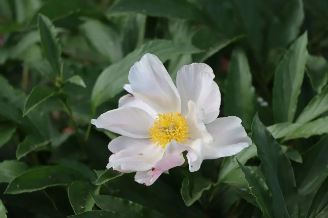 IMG_0728.jpg