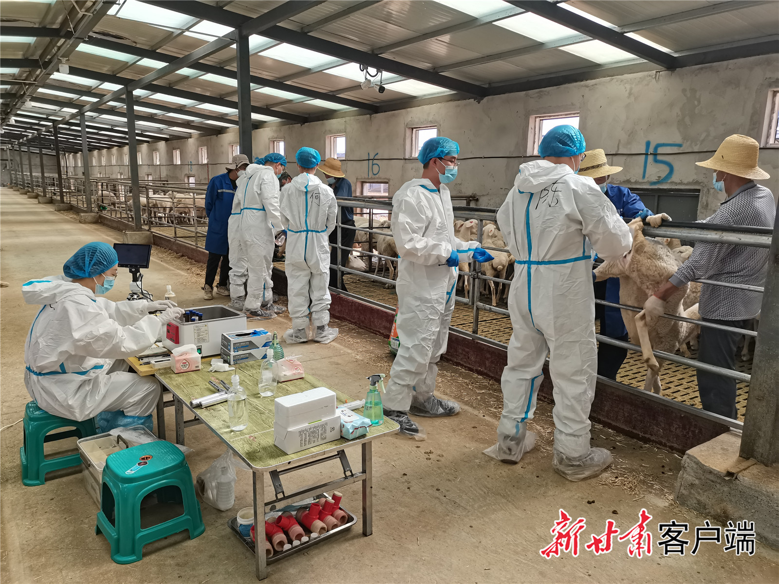 FZ007241520756_A5175171