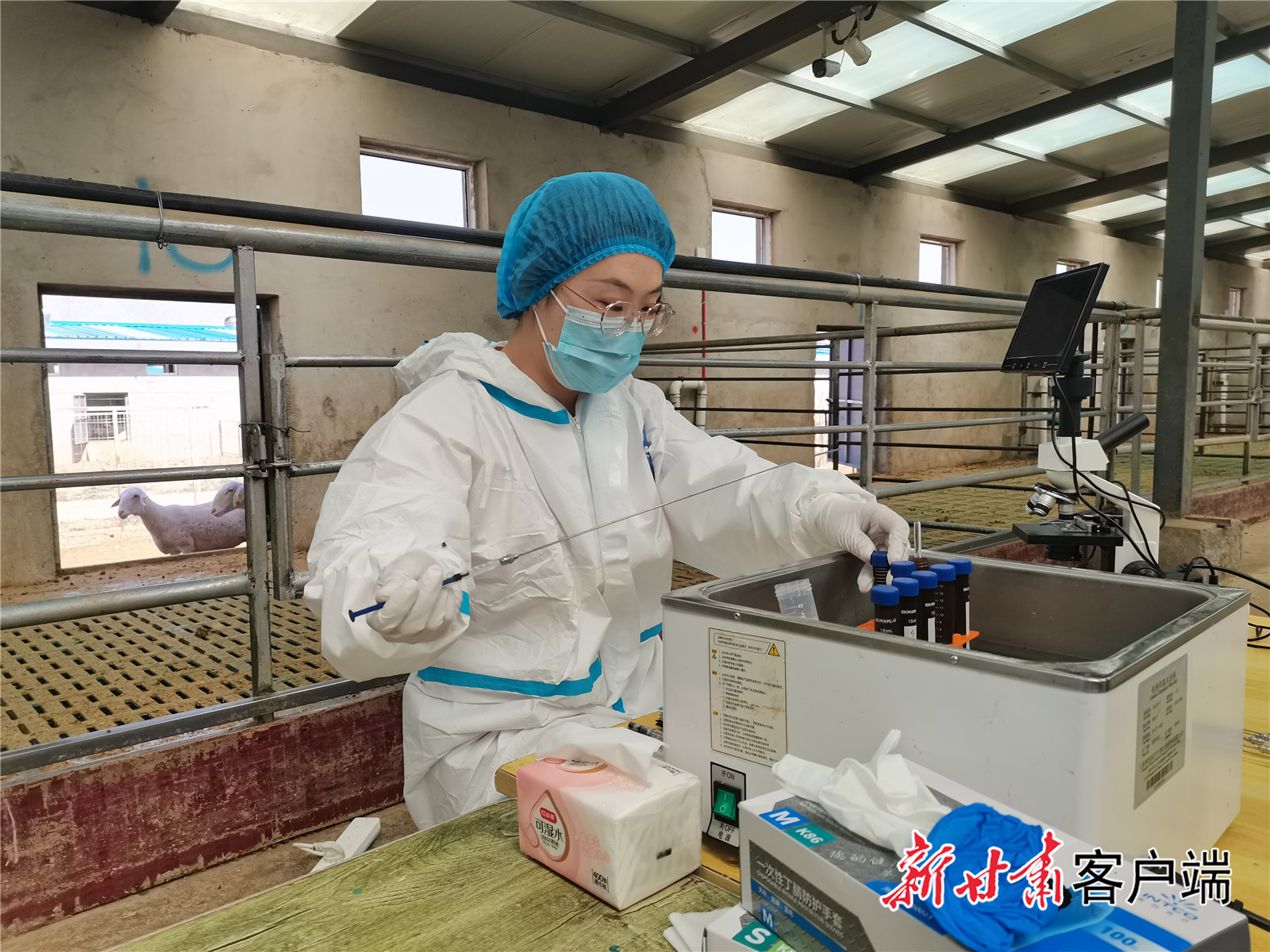 FZ007241520756_A5175172