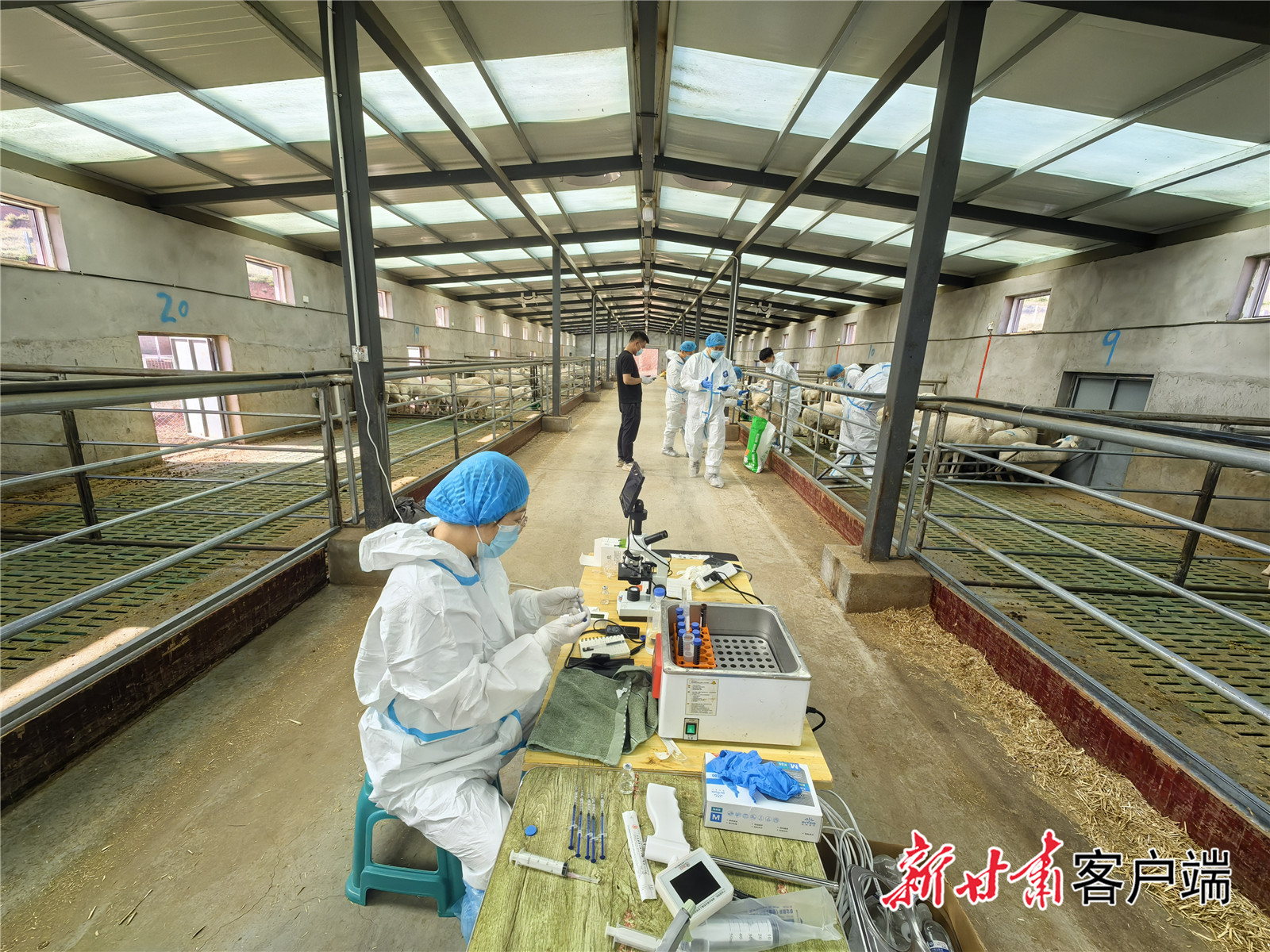 FZ007241520756_A5175174