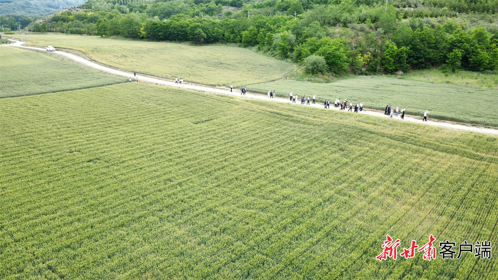 FZ007241749363_A5191656