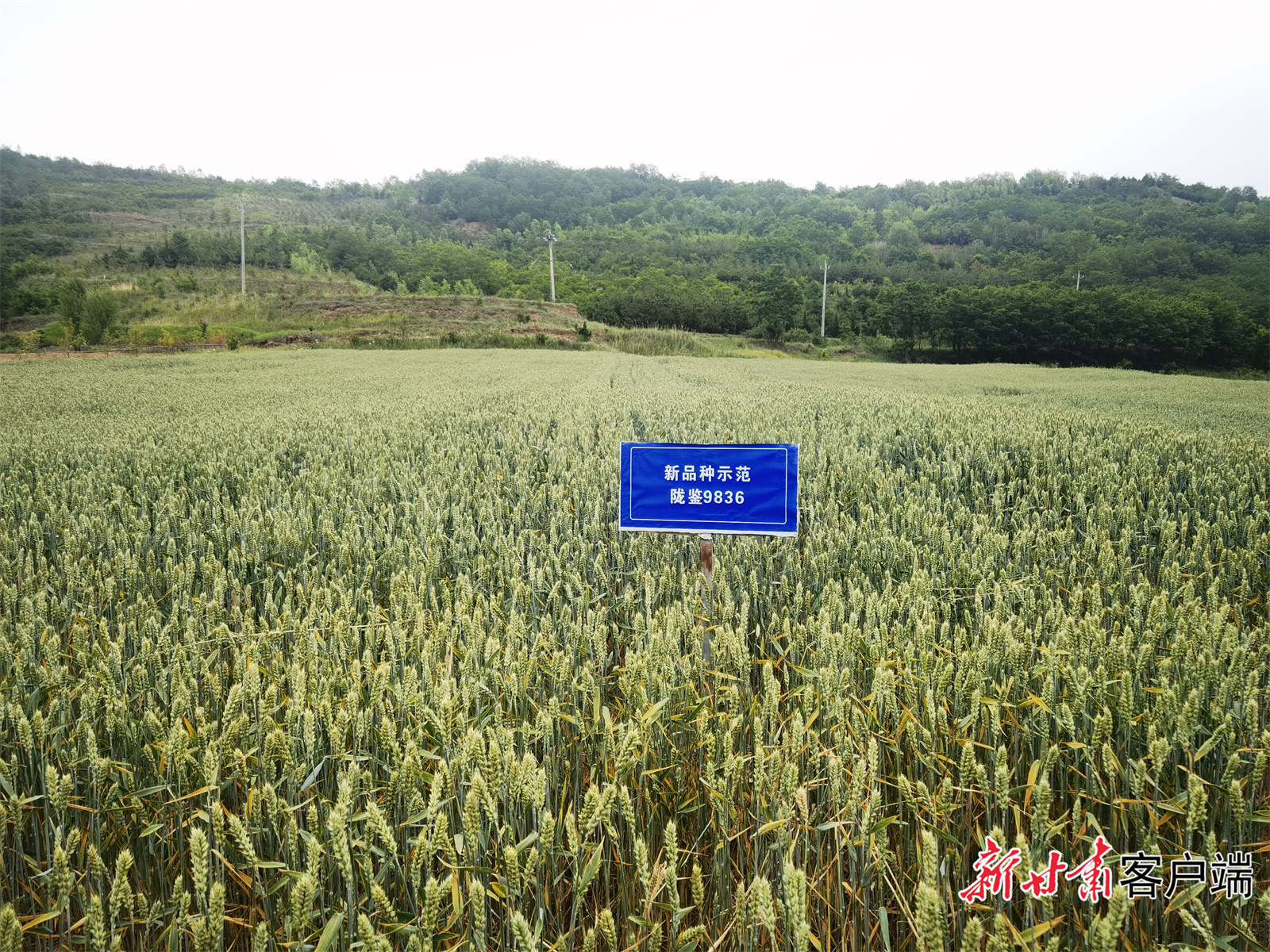FZ007241749363_A5191664