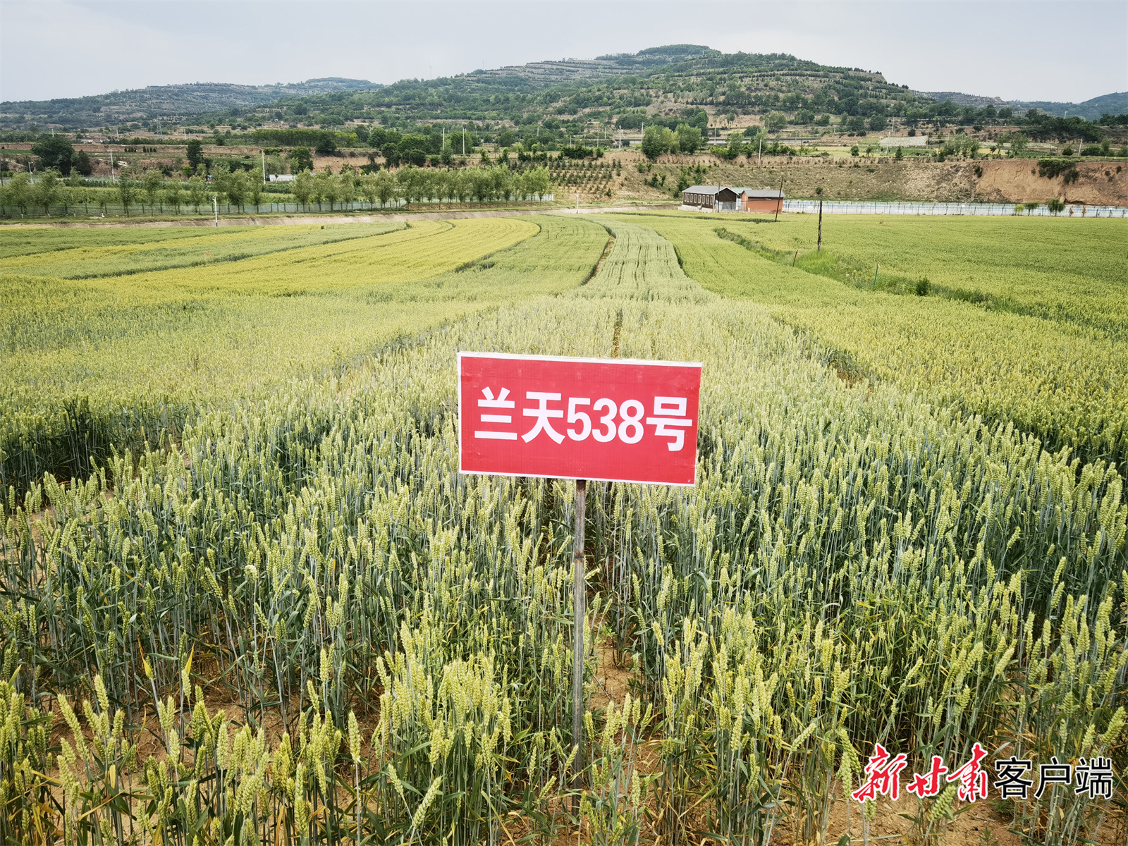 FZ007241749363_A5191663