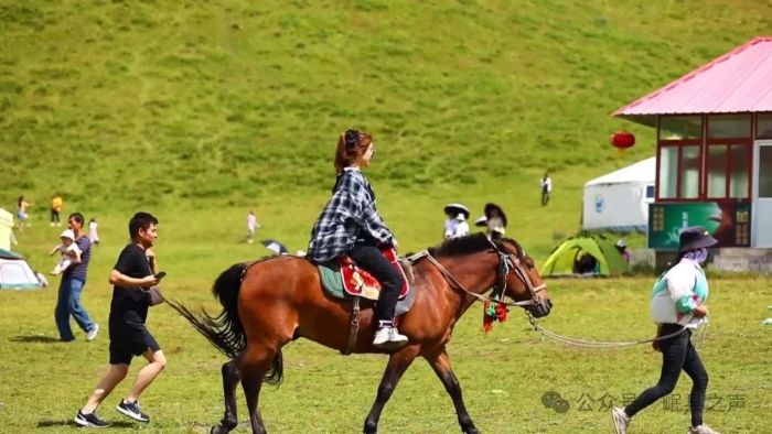 1751876859129092423.jpeg 09220272fc2343fca47ba68a49b869ed_s.jpeg