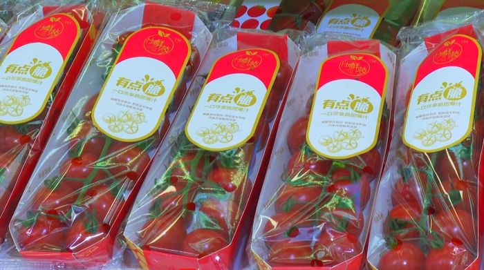 1751884637747016182.jpg 651a84ccfe84455a9576d1f92c12caba_s.jpg