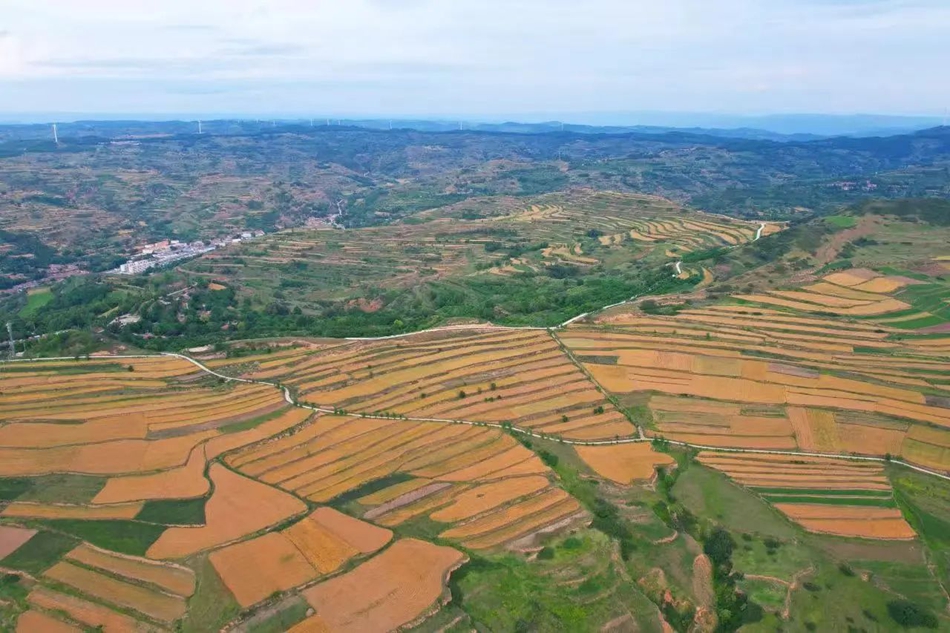 微信图片_20250702160903_副本