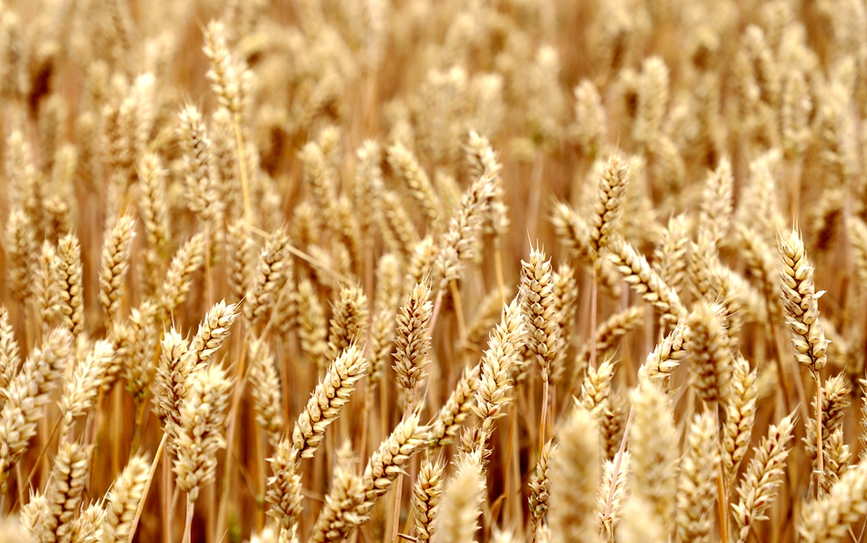 裁剪IMG_6489_副本