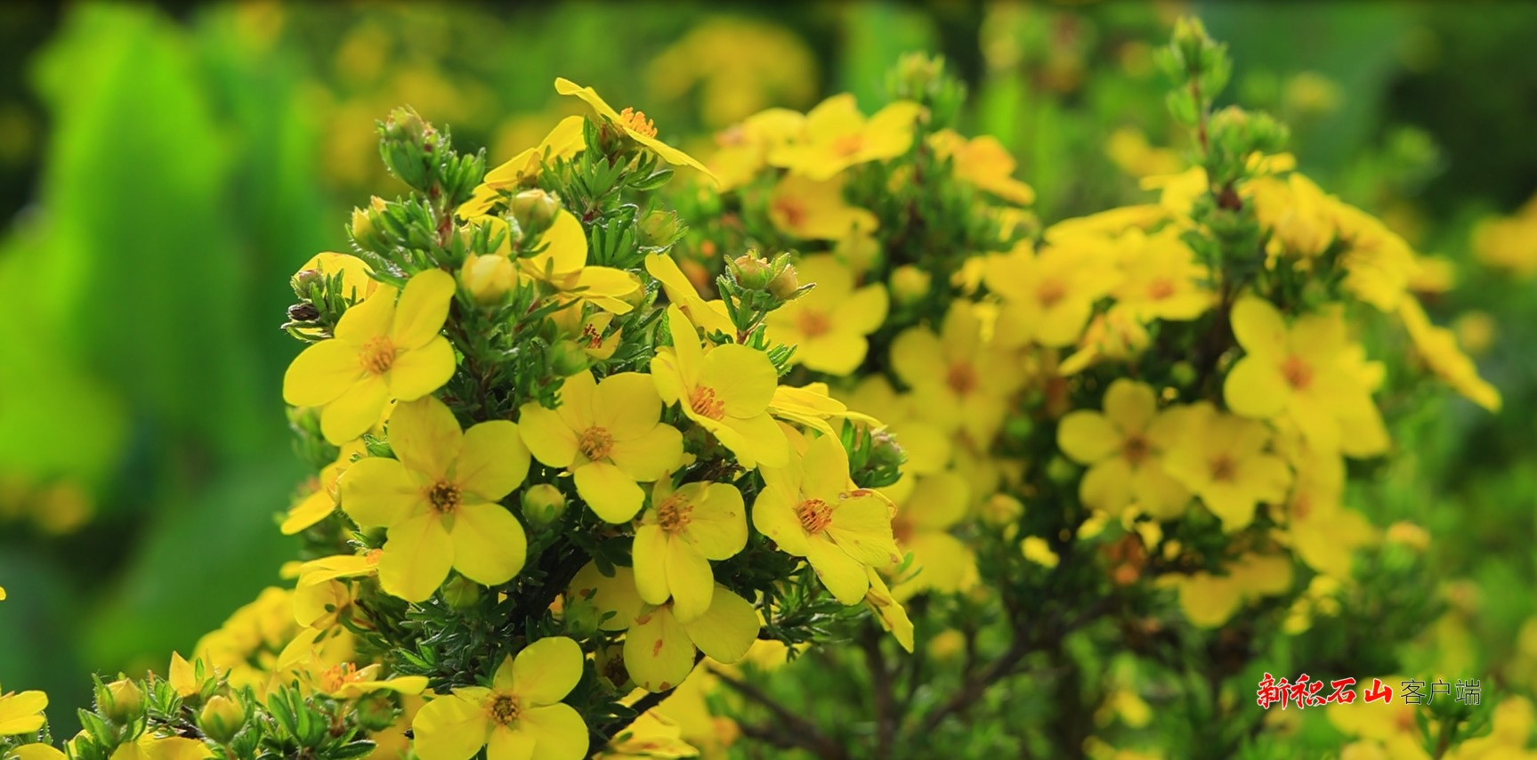 1752222253887000526.jpg 1752024693576036281.jpg