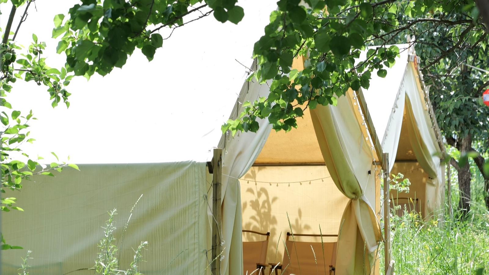 1752222518659095270.jpg 1752117215025055387.jpg