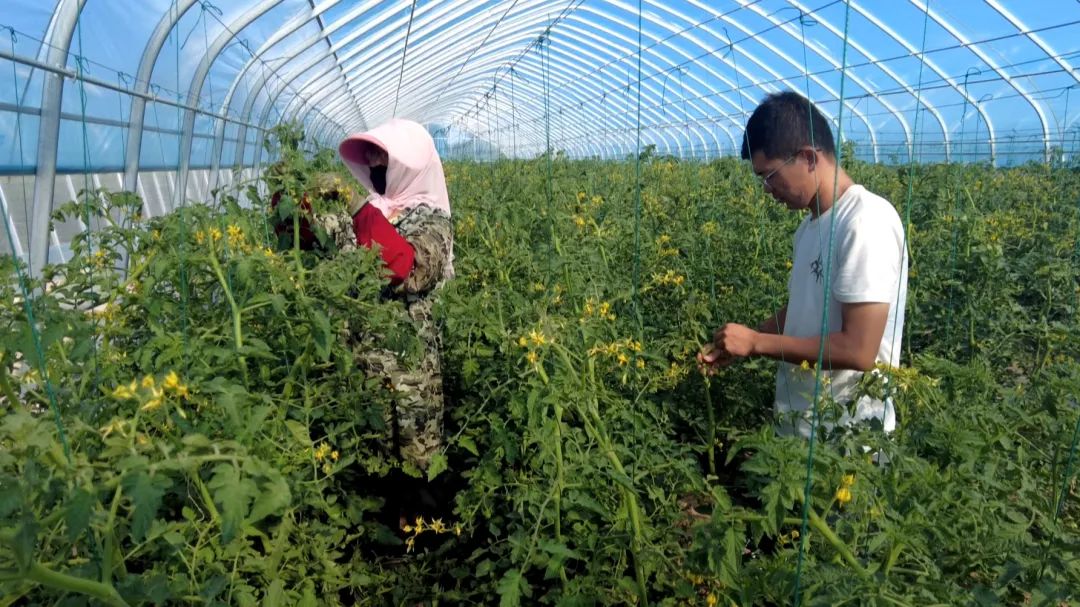 1752223234254055577.jpeg b02b8ff28982479f8d156d743b73b961.jpeg