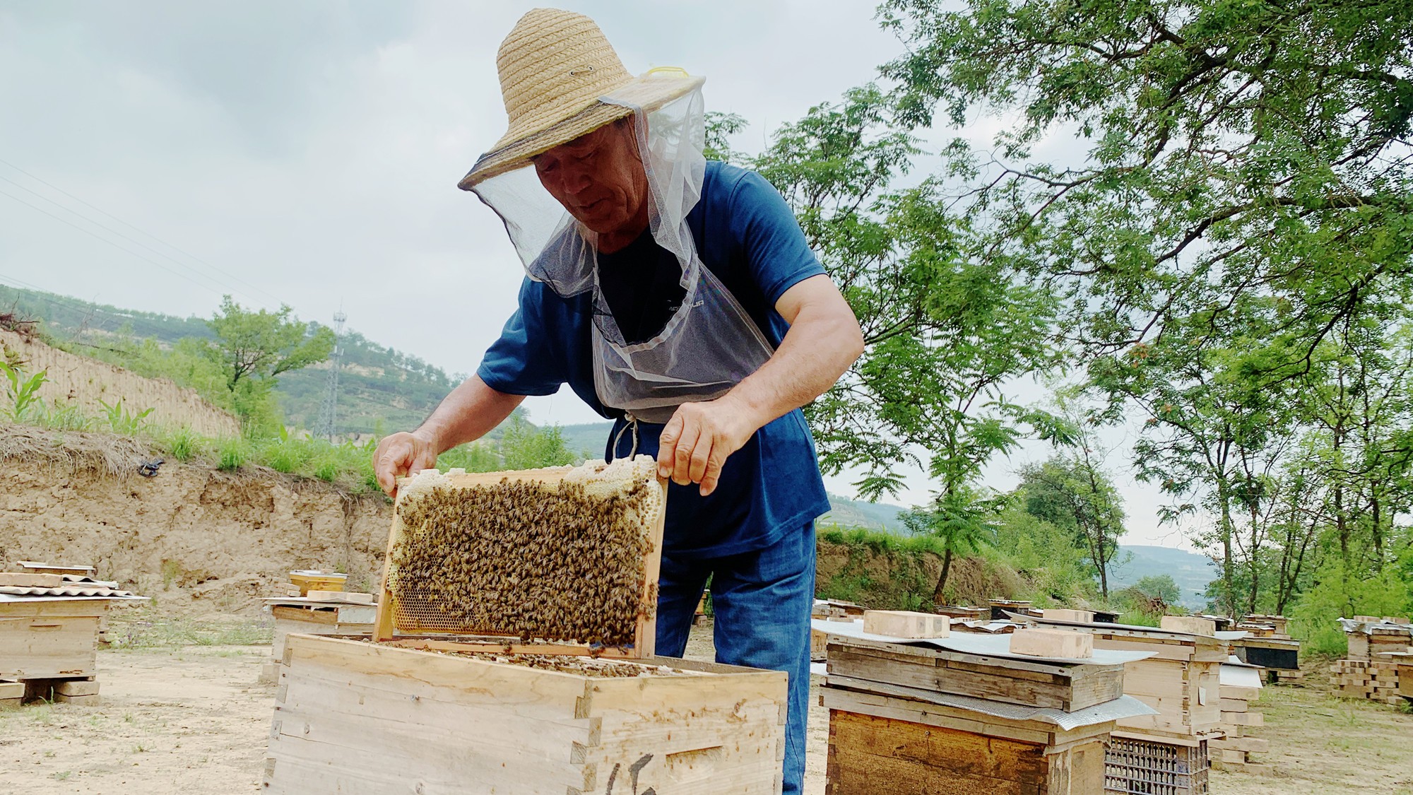 1752481346831072131.jpg 1752298761626078842_副本.jpg