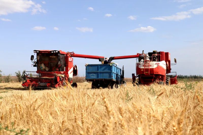 1752483116725040383.png f85348b67d2b4cd89a6359fac820fc09_s.png