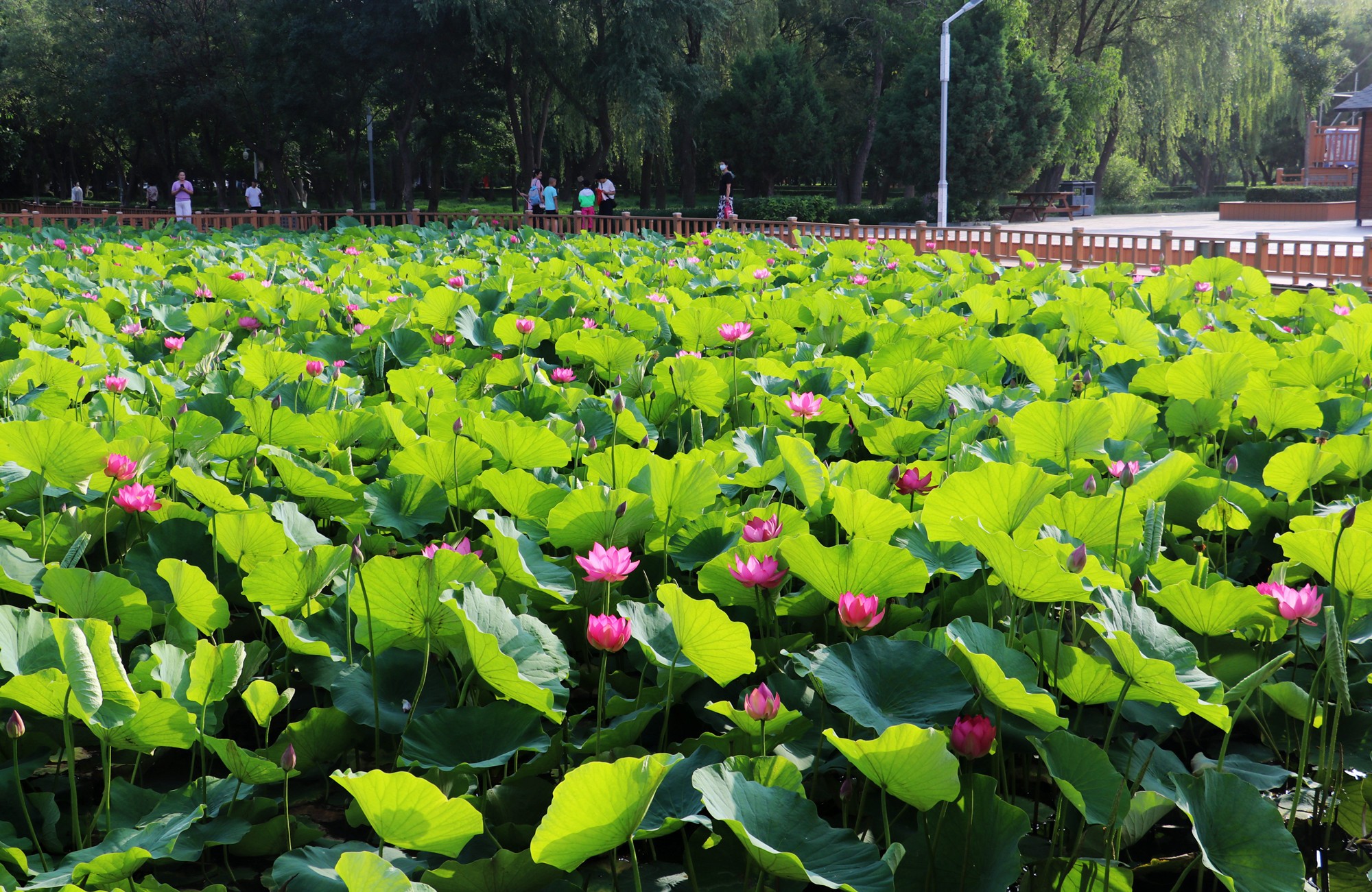 1752483941842049118.jpg 1752483670731018975_副本.jpg