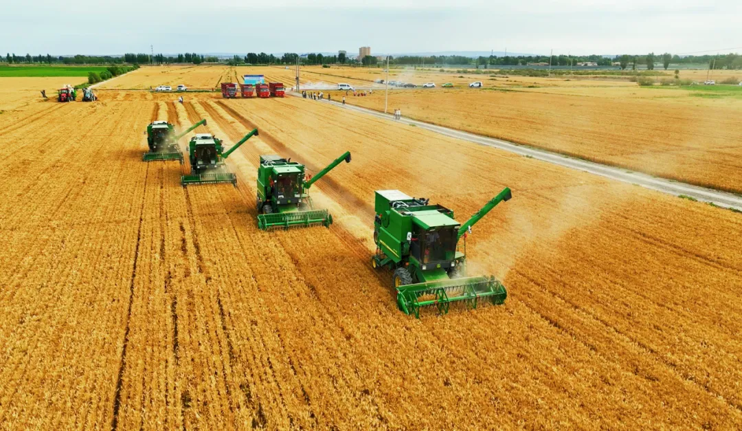 1752658015747095395.png 984190f3-d8bd-4acb-ab7a-c847f2b8e08b.png